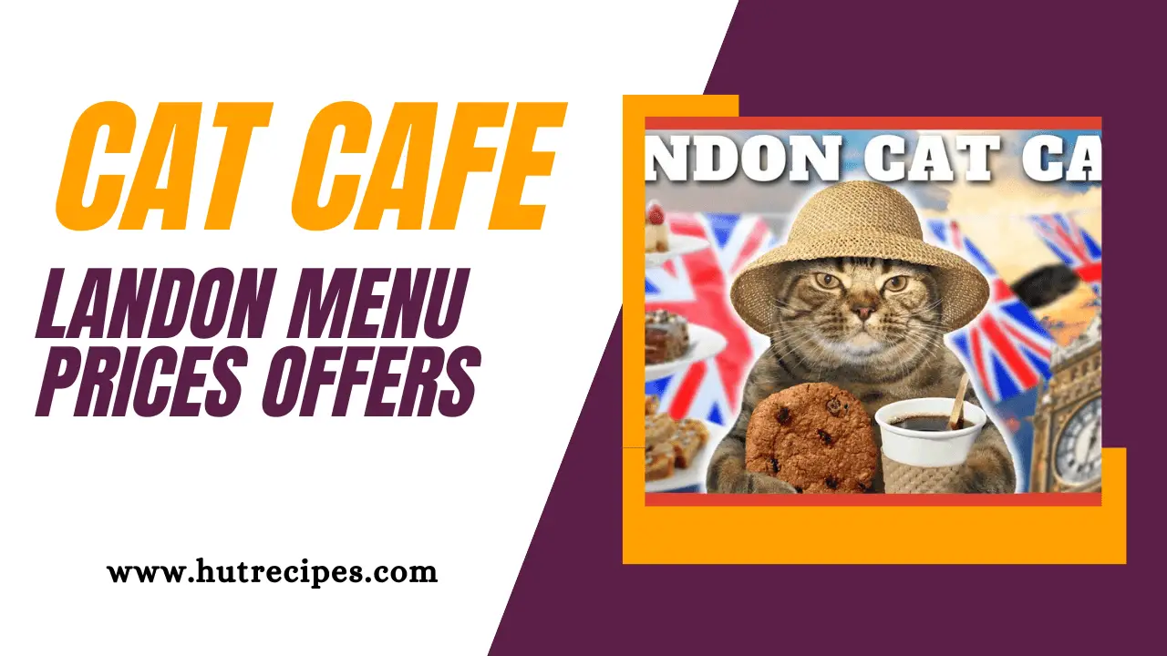 Cat Cafe Menu London, Prices, Contact, Address